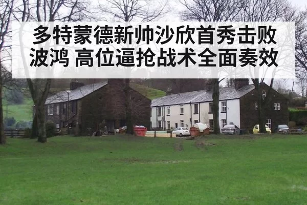 多特蒙德新帅沙欣首秀击败波鸿 高位逼抢战术全面奏效